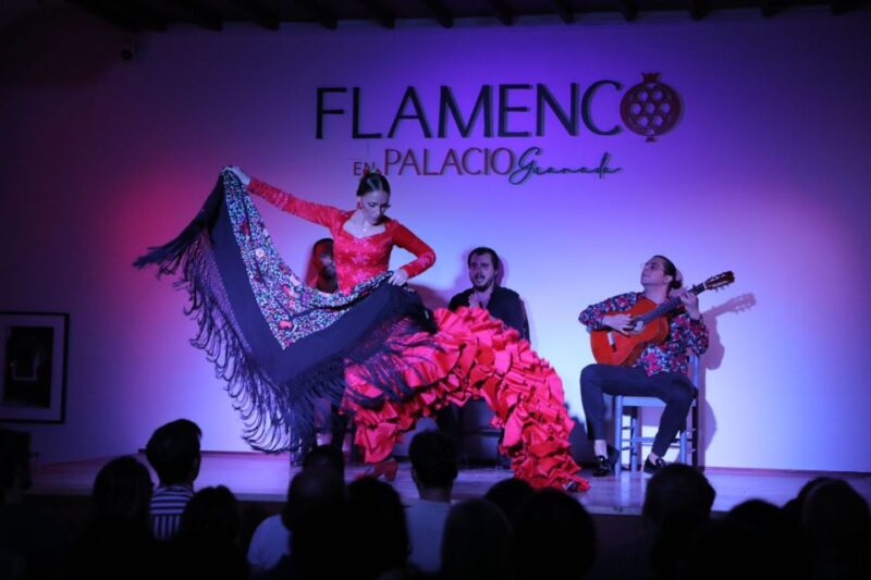 Granada: 1-Hour Traditional Flamenco Show at Palacio - Discovering Palacio De Los Olvidados