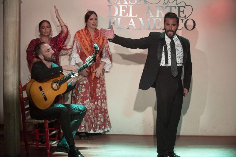 Granada: 1-Hour Traditional Flamenco Show - Show Duration and Accessibility