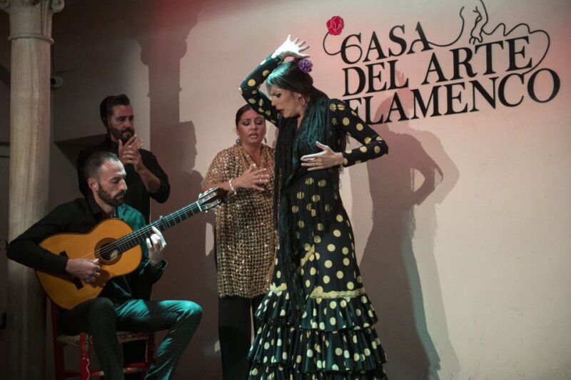 Granada: 1-Hour Traditional Flamenco Show - Highlight of the Experience