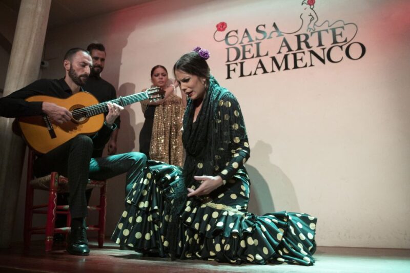 Granada: 1-Hour Traditional Flamenco Show - Customer Feedback Insights