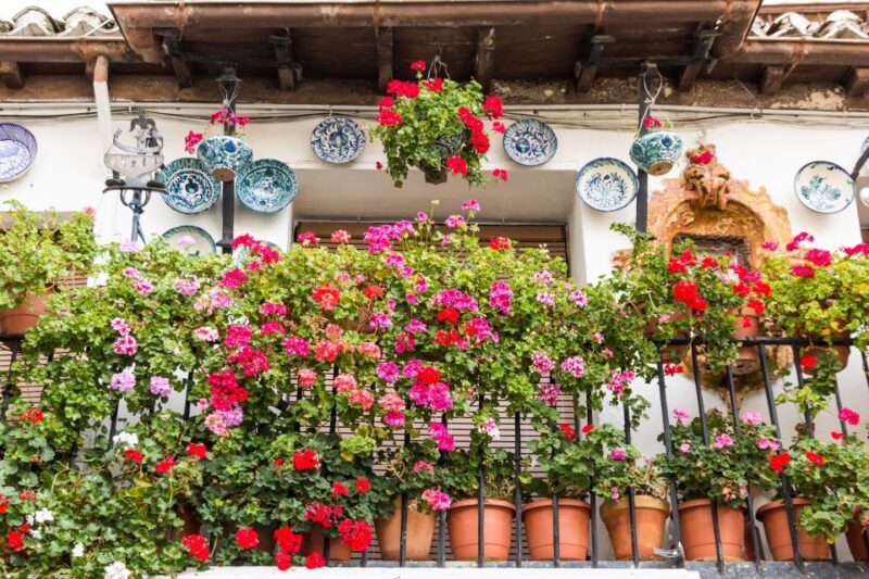 Granada: 2hour Tour of The Albaicín & Sacromonte Premium - Key Points