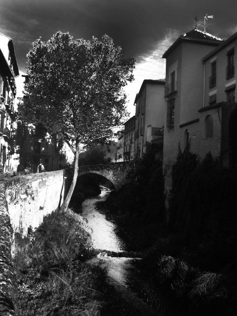 Granada Albaicín: 2.5-Hour Tapas & Drinks Walking Tour - Andalusian Cuisine Experiences