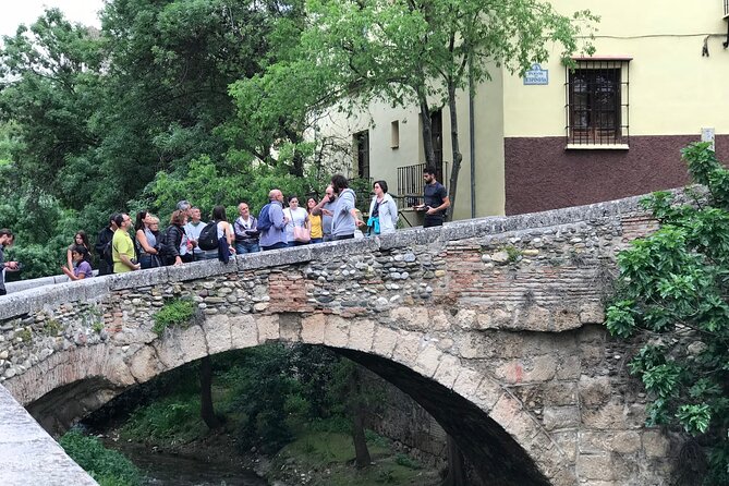 Granada: Albaicin and Sacromonte Private Tour - History and Culture of Flamenco