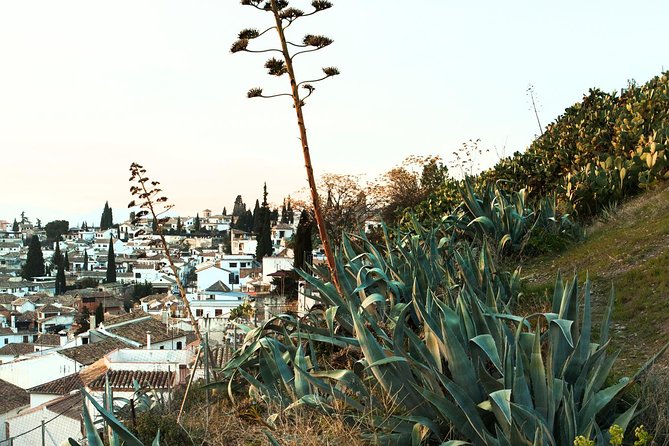 Granada: Albaicin and Sacromonte Private Tour - Exploring the Albaicin and Sacromonte