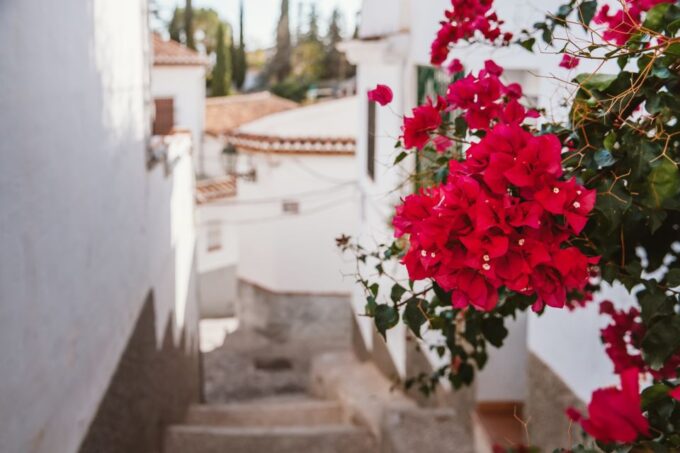 Granada: Albaicín and Sacromonte Walking Tour - Cultural Exploration