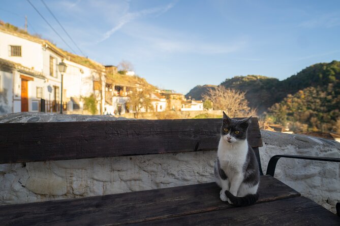 Granada Albaicín & Sacromonte Exclusive Walk Tour in the Old Town - Traveler Feedback