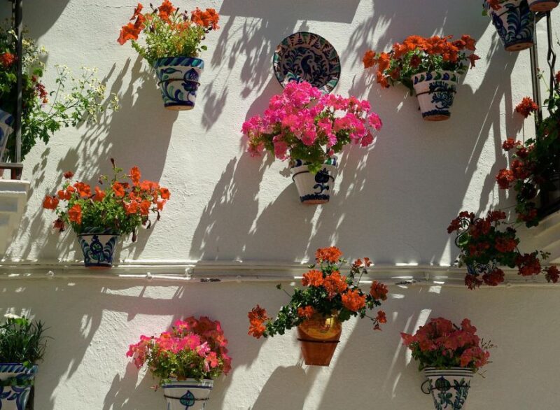 Granada: Albaicinó, Sacromonte & Museum of Caves Walking Tour - Itinerary Details