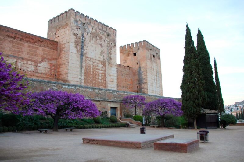 Granada: Alhambra and Charles V Palace Tour - Tour Experience