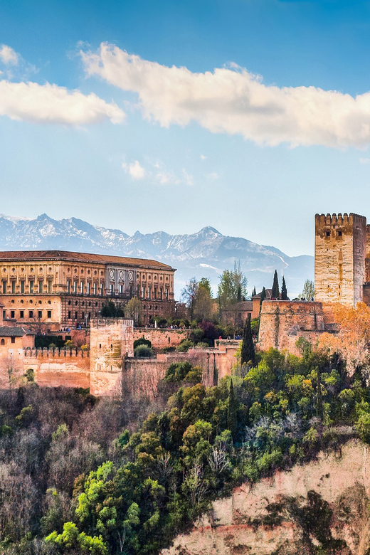 Granada: Alhambra and Nasrid Palaces Private Guide Tour - Experience Highlights