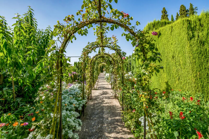 Granada: Alhambra Gardens and Generalife Ticket - Visitor Requirements and Guidelines