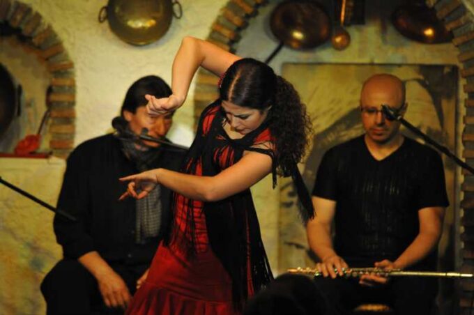Granada: Alhambra Guided Tour and Flamenco Show - Authentic Sacromonte Experience