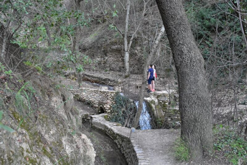 Granada: Alhambra Natural Park Hiking Tour - Hiking Experience