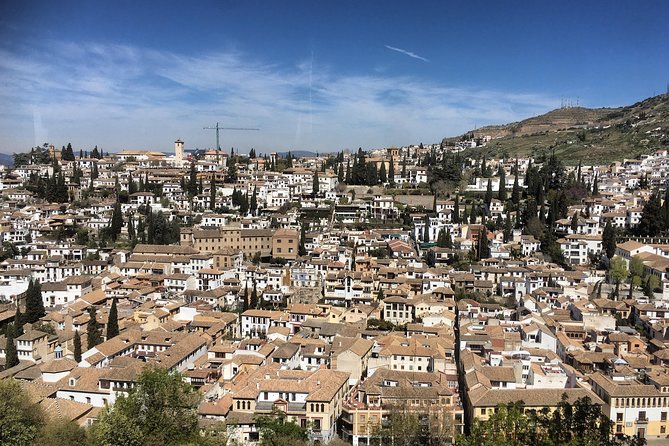 Granada and Albaicin: Wine and Tapas Tour - Physical Requirements