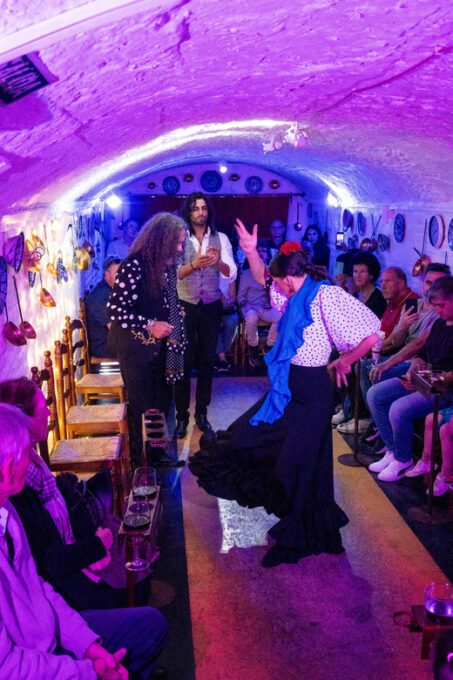 Granada: Authentic and Intimate Flamenco Show With Snacks - Location and Directions