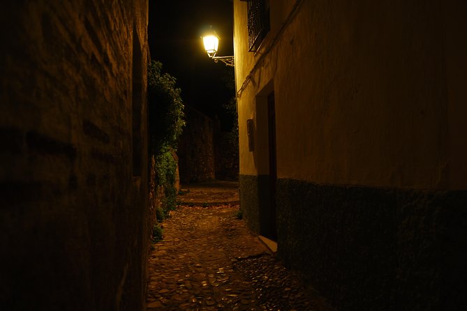 Granada: Dark City. - Booking and Accessibility