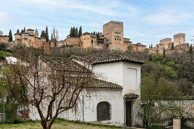 Granada Discoveries Private Tour - Inclusions and Highlights