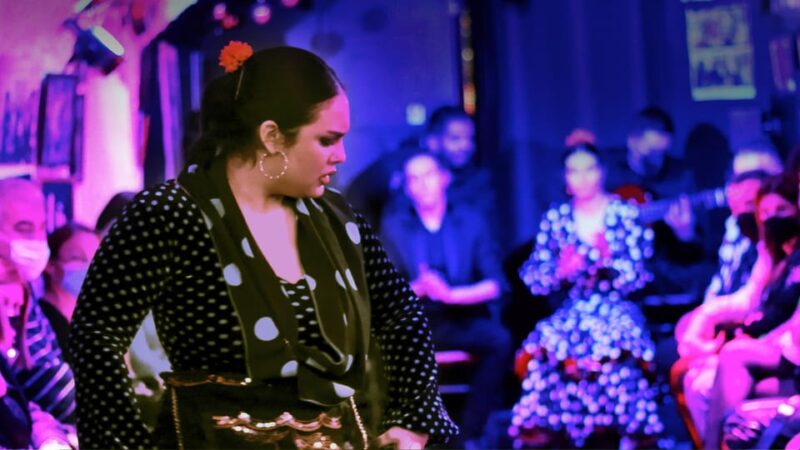 Granada: Flamenco Show at Cueva De La Rocío - Event Overview