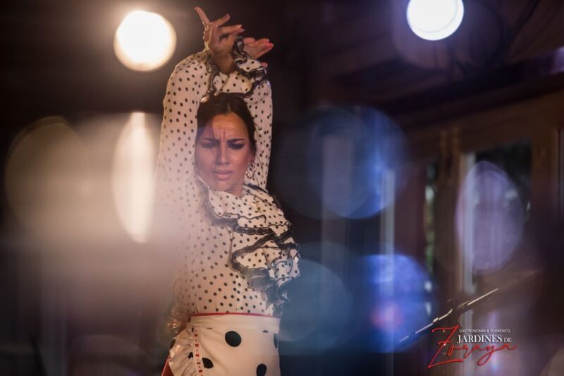 Granada: Flamenco Show in Albaycin - Jardines De Zoraya - Key Points