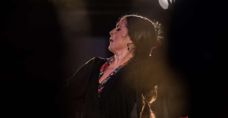Granada: Flamenco Show in Albaycin - Jardines De Zoraya - Ticket Information