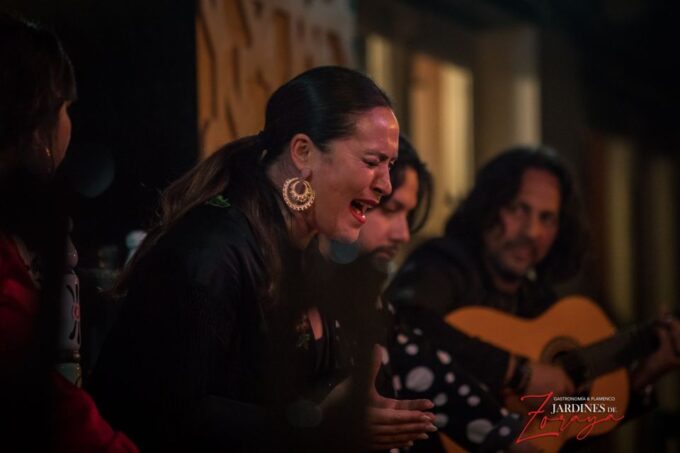 Granada: Flamenco Show in Albaycin - Jardines De Zoraya - Allergy Considerations