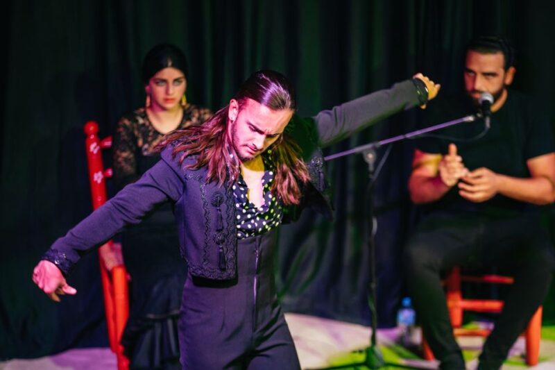 Granada: Flamenco Show in La Alboreá - Customer Reviews