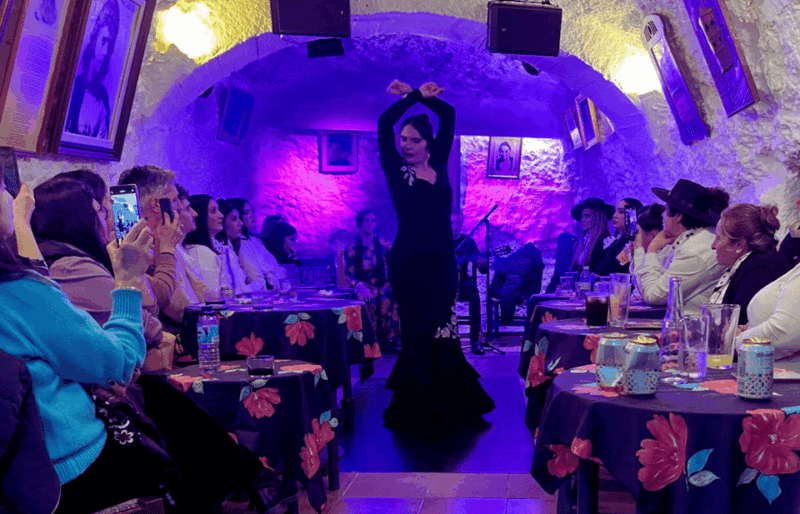 Granada: Flamenco Show in the Cave LA FARAONA - Exploring the Sacromonte Neighborhood