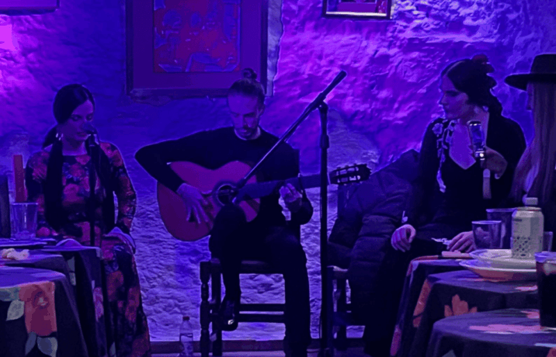Granada: Flamenco Show in the Cave LA FARAONA - Highlights of the Show