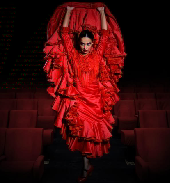 Granada: Flamenco Show Sensations at the Flamenco Theater Granada - Key Points