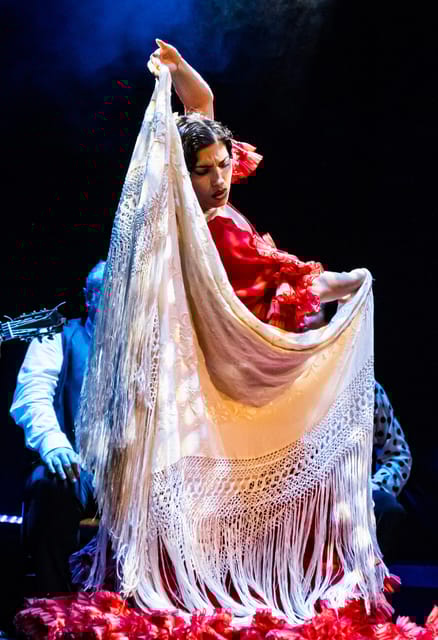Granada: Flamenco Show Sensations at the Flamenco Theater Granada - The Captivating Flamenco Artistry