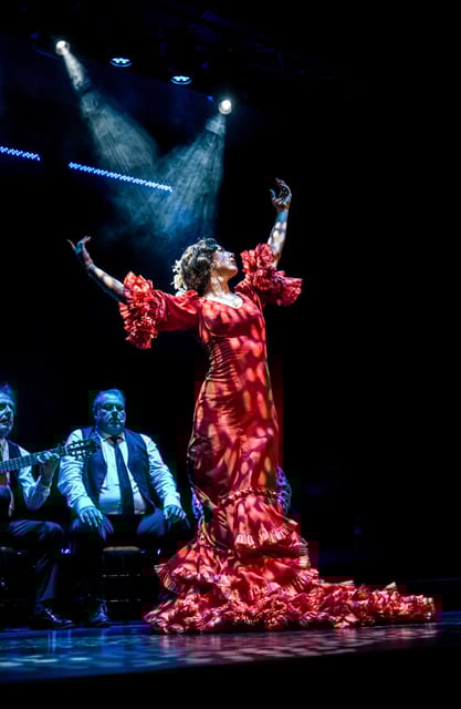 Granada: Flamenco Show Sensations at the Flamenco Theater Granada - Taking in Flamenco Traditions