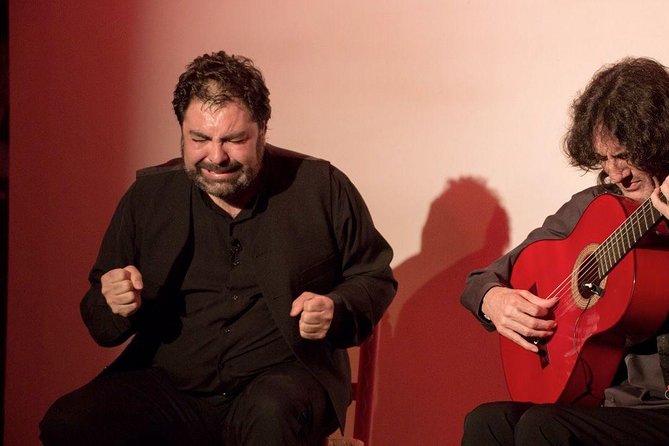 Granada Flamenco & Tapas Tour - Guest Experience Highlights
