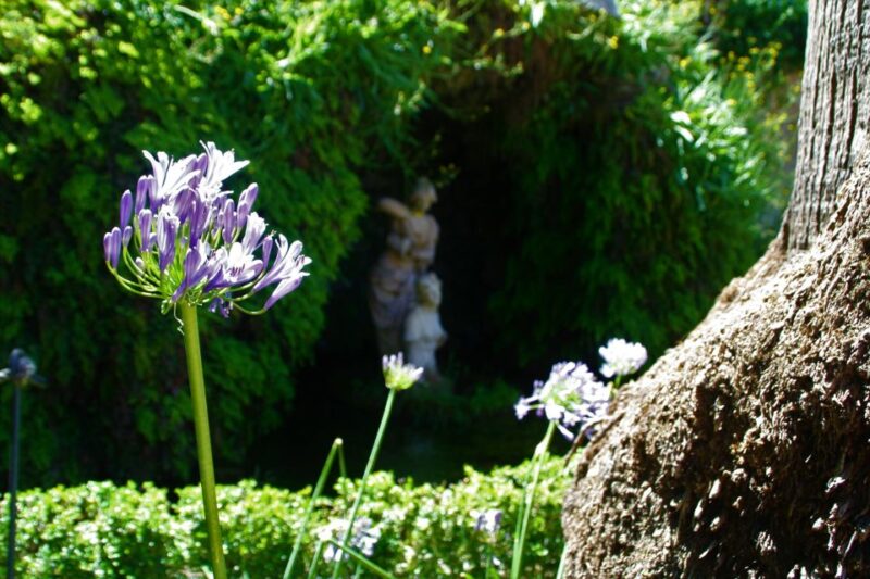 Granada: Gardens of Carmenes Guided Tour - Tour Highlights