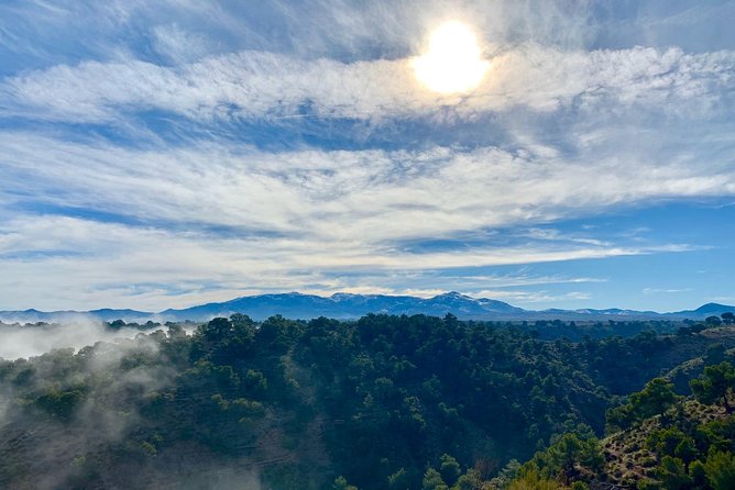 Granada Geopark: Desert, Prehistory and Local Gastronomy - Savoring Local Culinary Delights