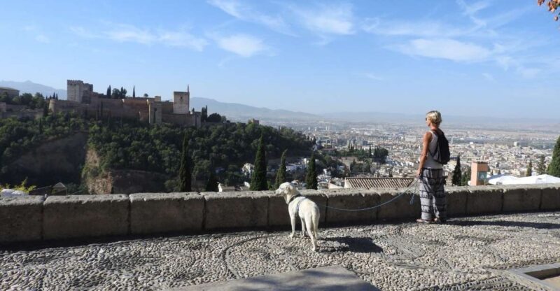 Granada: Guided Albaicín Visit With Pets - Key Points