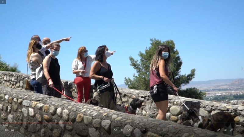 Granada: Guided Albaicín Visit With Pets - Important Information