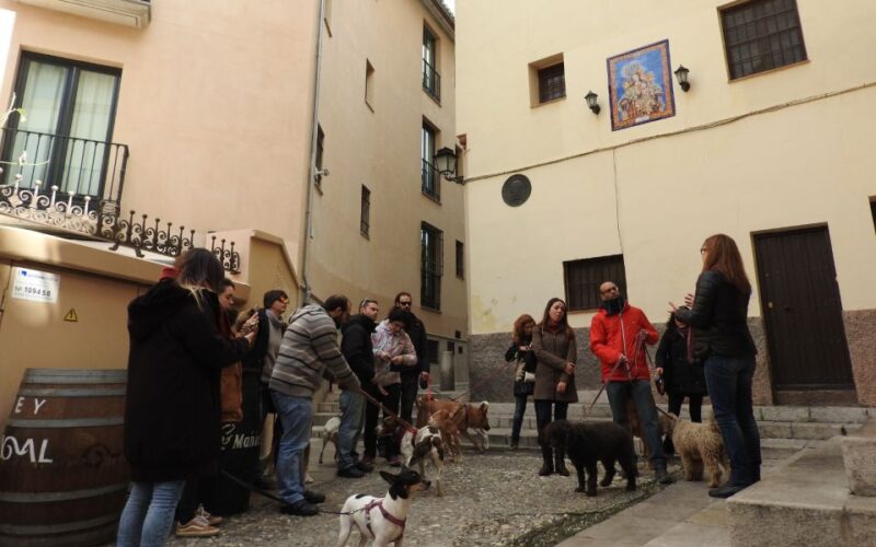 Granada: Guided Realejo Tour With Pets - Frequently Asked Questions