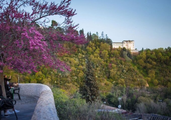 Granada: Half-Day 4-Neighborhoods 4-Cultures Private Tour - Discover Albaicín Neighborhood