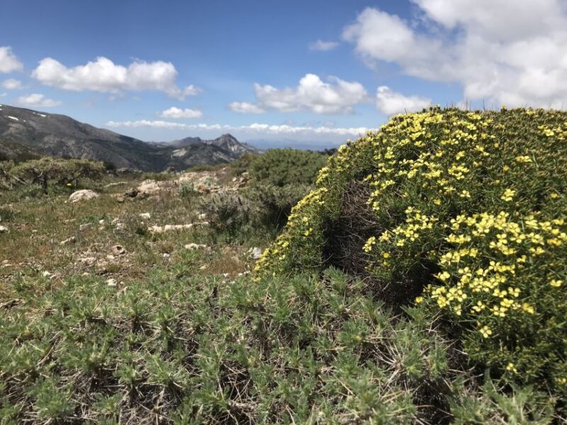 Granada: High Sierra Nevada Hiking Tour - Key Points