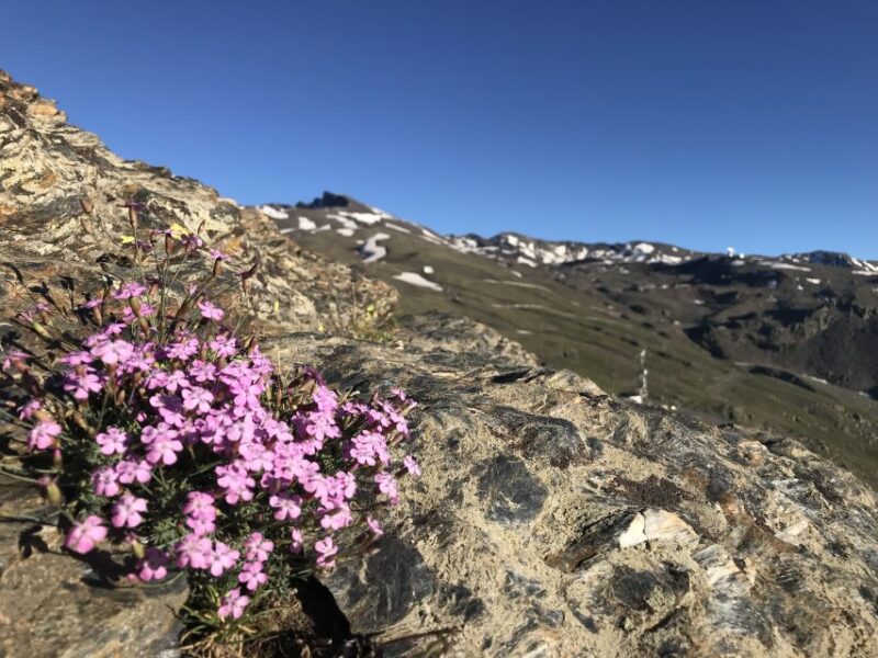 Granada: High Sierra Nevada Hiking Tour - Included in the Tour