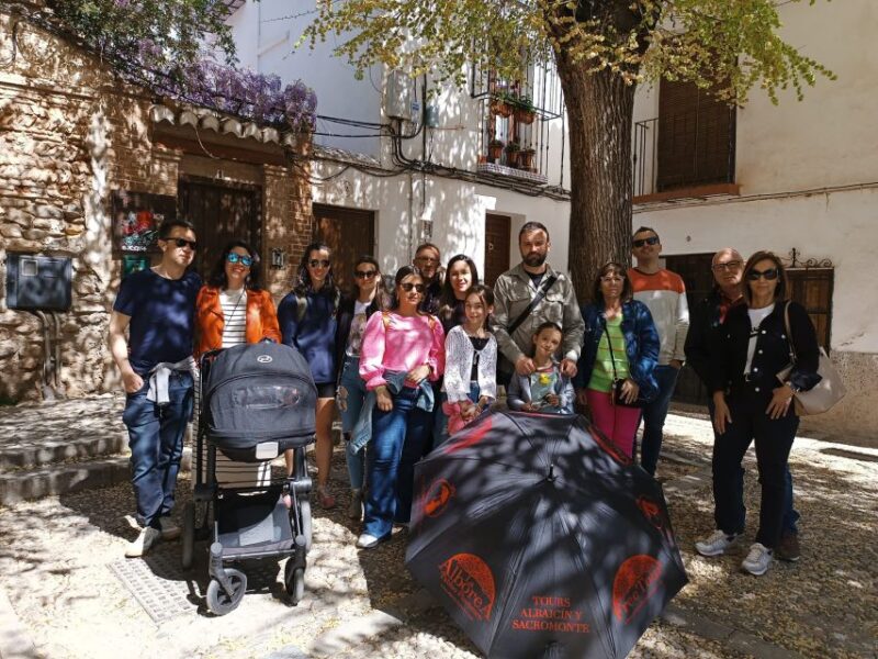 Granada: Historic Center and Lower Albaicin Walking Tour - Meeting Point and Accessibility
