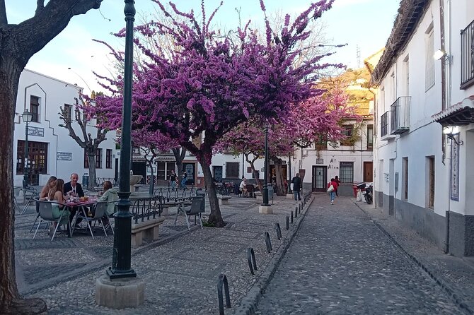 Granada History, Heritage and Culture Guided Tour - Tapas and Local Cuisine
