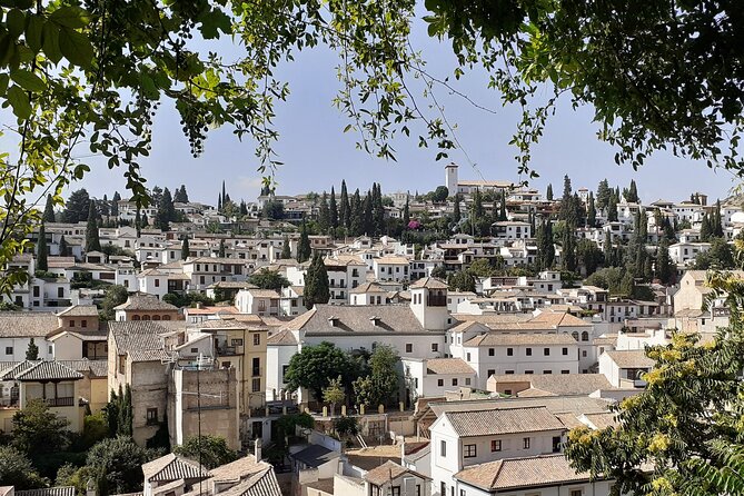 Granada History, Heritage and Culture Guided Tour - City Views and Landmarks