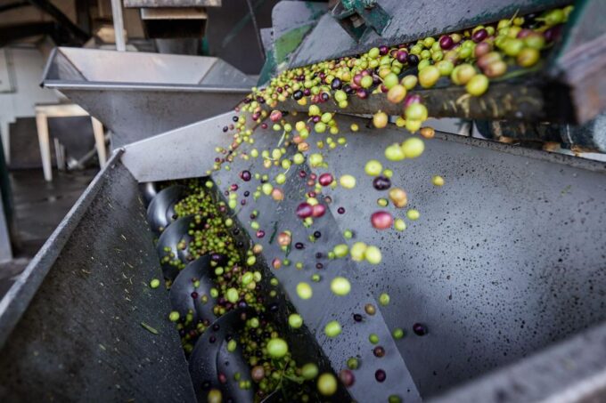 Granada in Evoo: Authentic Guided Tour, Tasting and Tapas - Booking and Cancellation Details