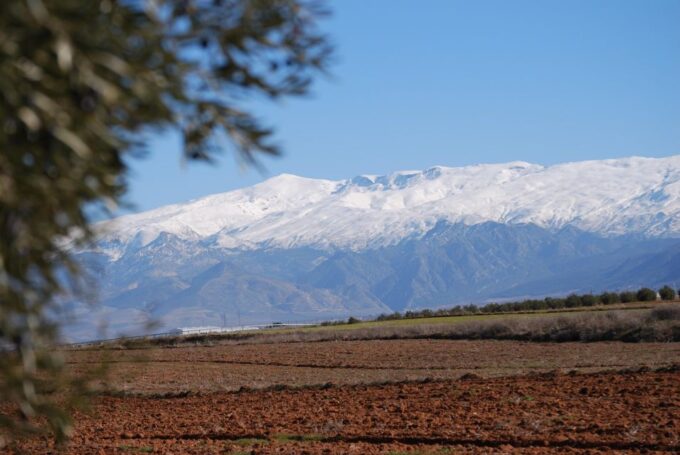 Granada in Evoo: Authentic Guided Tour, Tasting and Tapas - Frequently Asked Questions