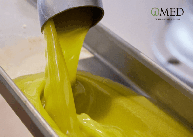 Granada in EVOO: Guided Tour and Unique Sensorial Tasting - Customer Feedback