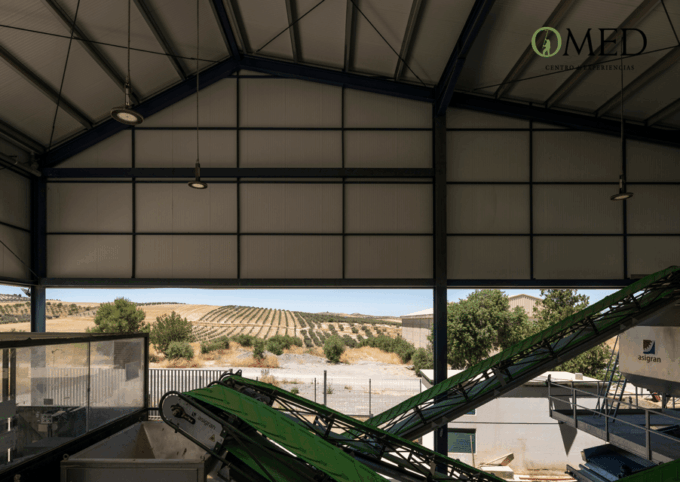 Granada in EVOO: Guided Tour and Unique Sensorial Tasting - Sustainable Practices in Olive Oil Production