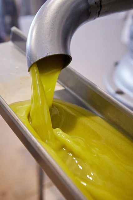 Granada in EVOO: Guided Tour and Unique Sensorial Tasting - The Art of Sensorial Tasting