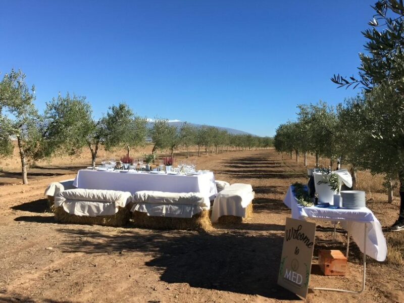 Granada in Evoo: Olive Grove Guided Tour and Sensory Tasting - Tour Duration and Pricing