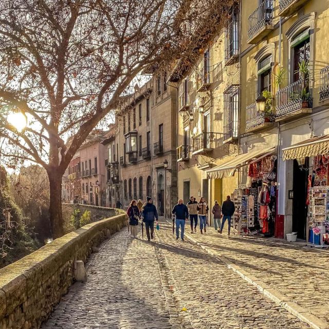Granada in Full: Albaicin & the Historic Centre - Highlights of the Experience