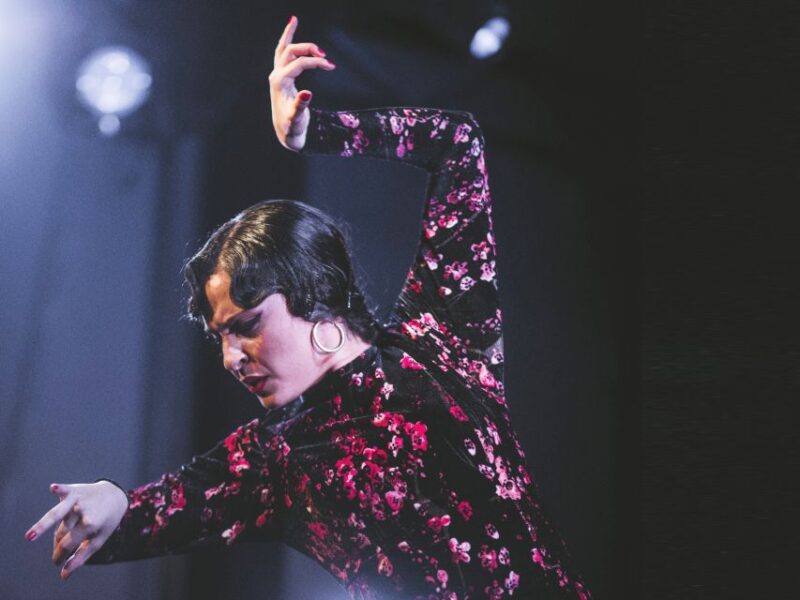 Granada: Live Flamenco Show at Casa Ana Entry Ticket - Meeting Point and Directions